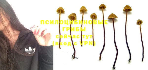 соль ск Няндома