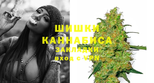 соль ск Няндома