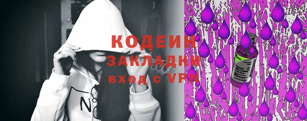 соль ск Няндома