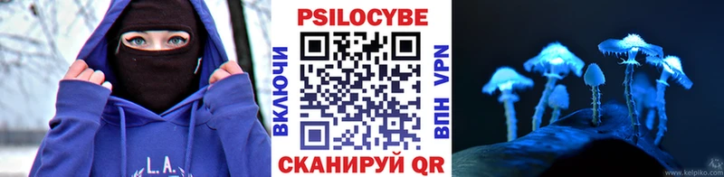 Псилоцибиновые грибы Cubensis  даркнет сайт  Сарапул 