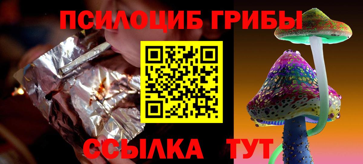 Галлюциногенные грибы Psilocybe Сарапул