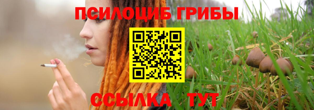 Сарапул  Псилоцибиновые грибы мухоморы  Вход с VPN 
